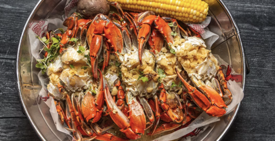 The Definitive Jersey Shore Dining Roundup: 9 Essential Coast Reviews